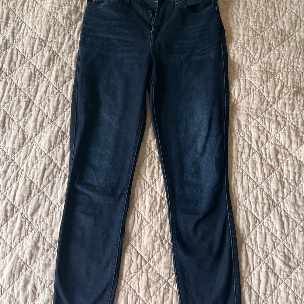 7 For All Mankind Blue Skinny Jeans